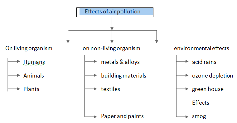 456_air pollution.png